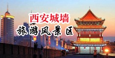 美女日日干屄屄中国陕西-西安城墙旅游风景区